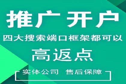 百度SEM推广策略：成功案例解析